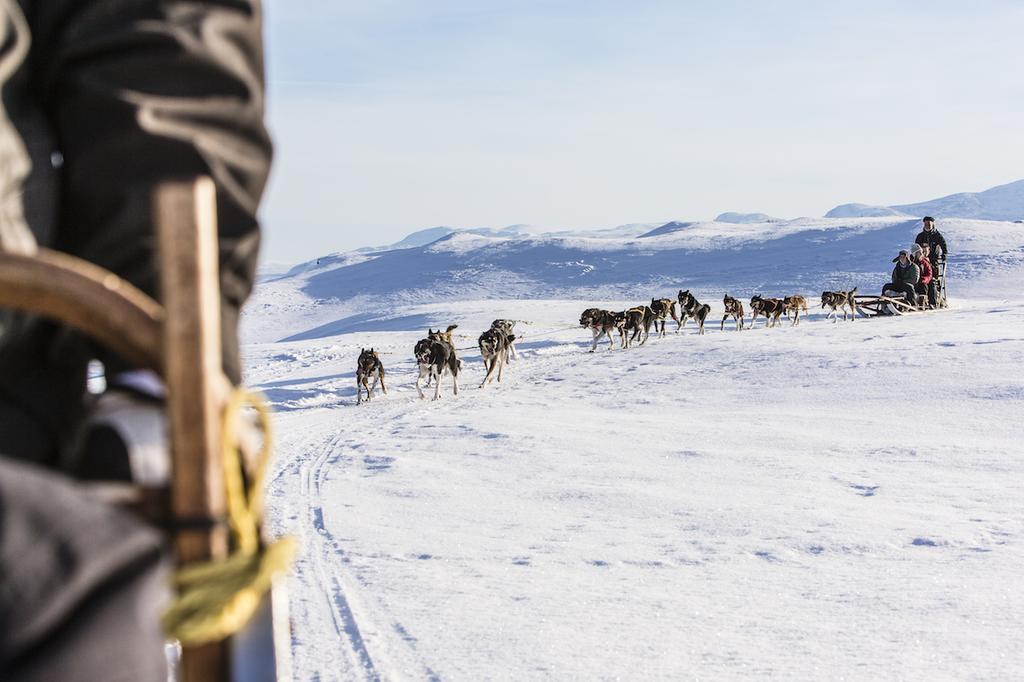 Hotell Fjaellet Björkliden Exteriér fotografie